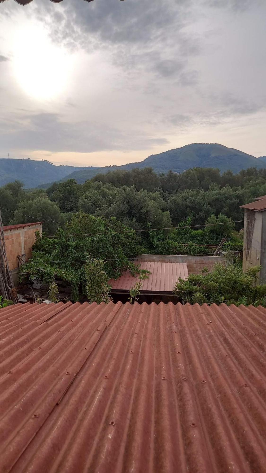 Calabria Collina Di Scilla Casale Ostello1800 Self Service Giardino Stanze E Per Famiglie Coppie E Single Pzza S Gaetano 16 Melia